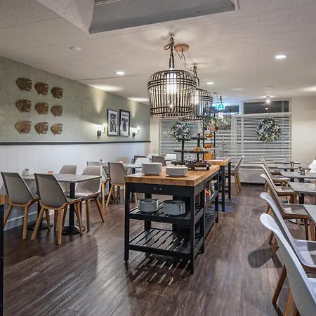 Strandplevier * De Koog (Texel)