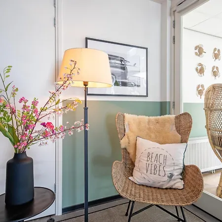 Strandplevier De Koog (Texel)