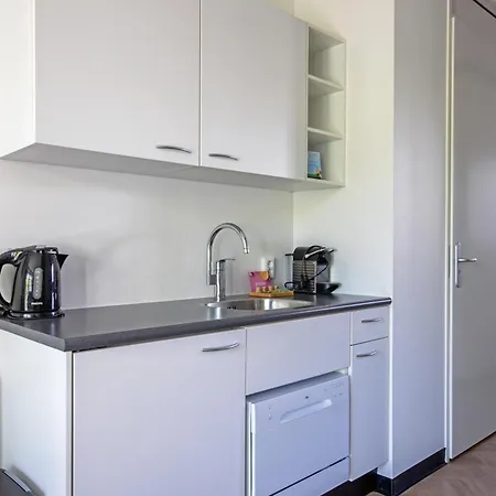 Strandplevier De Koog (Texel)