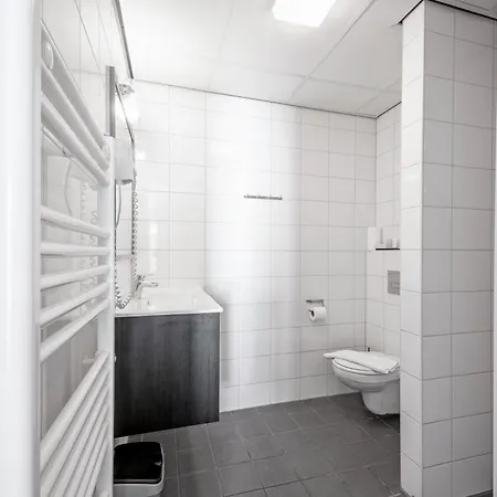 Strandplevier 데쿠크