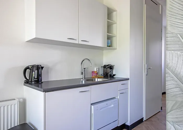 Strandplevier De Koog (Texel)