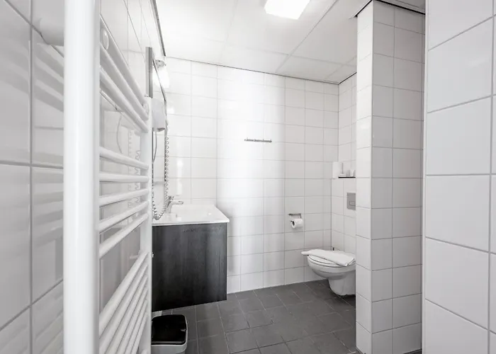 Strandplevier De Koog (Texel)